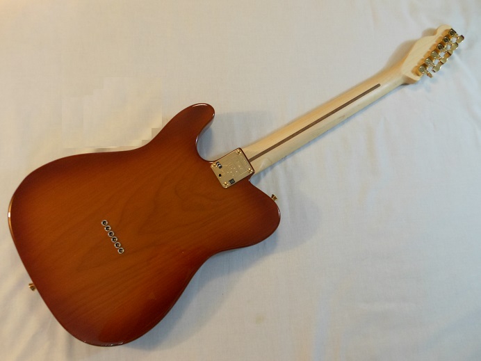 Mod Shop Telecaster Picture 2